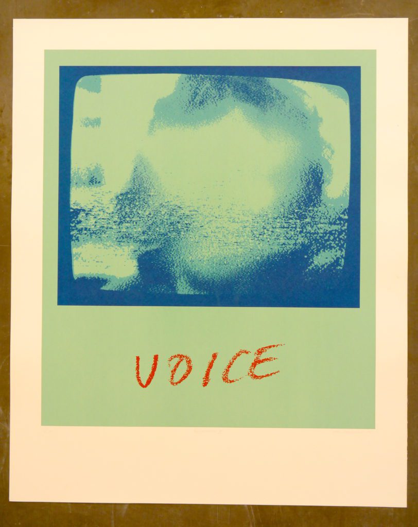 voice-3